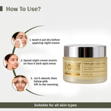 Velvet Glow Night Cream